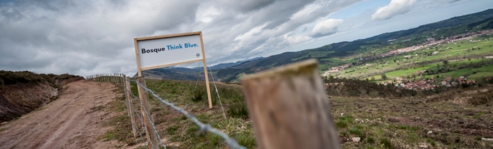 Volkswagen inicia la plantación del Sexto Bosque Think Blue