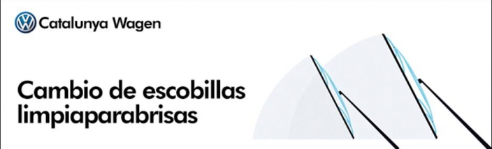 Cambio de escobillas limpiaparabrisas por tan solo 39€